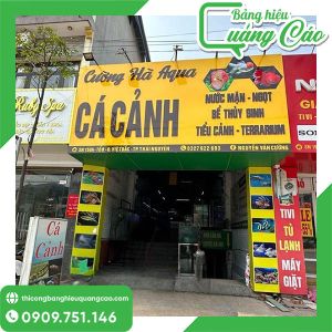 Bảng Hiệu Cá Cảnh