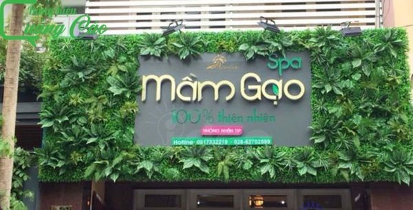 Bảng hiệu cỏ nhân tạo khung sắt Mầm Gạo