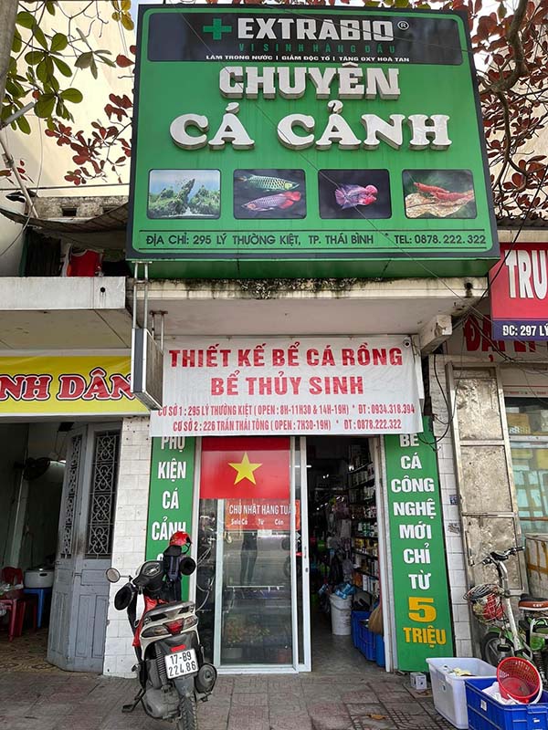 Mẫu biển quảng c&aacute;o b&aacute;n c&aacute; cảnh đẹp