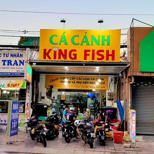 Mẫu bảng hiệu tiệm c&aacute; cảnh King Fish