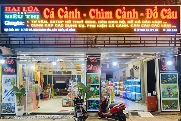 Mẫu bảng hiệu cửa h&agrave;ng c&aacute; cảnh - chim cảnh - đồ c&acirc;u