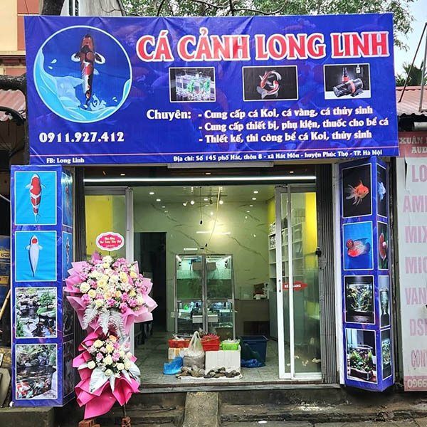 Mẫu bảng hiệu c&aacute; cảnh bạt Hiflex gi&aacute; rẻ