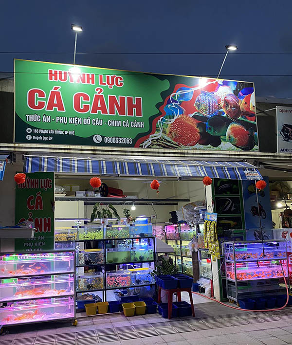 Mẫu biển quảng c&aacute;o b&aacute;n c&aacute; cảnh Huỳnh Lực