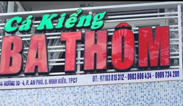 Mẫu bảng hiệu c&aacute; kiếng Ba Th&ocirc;m