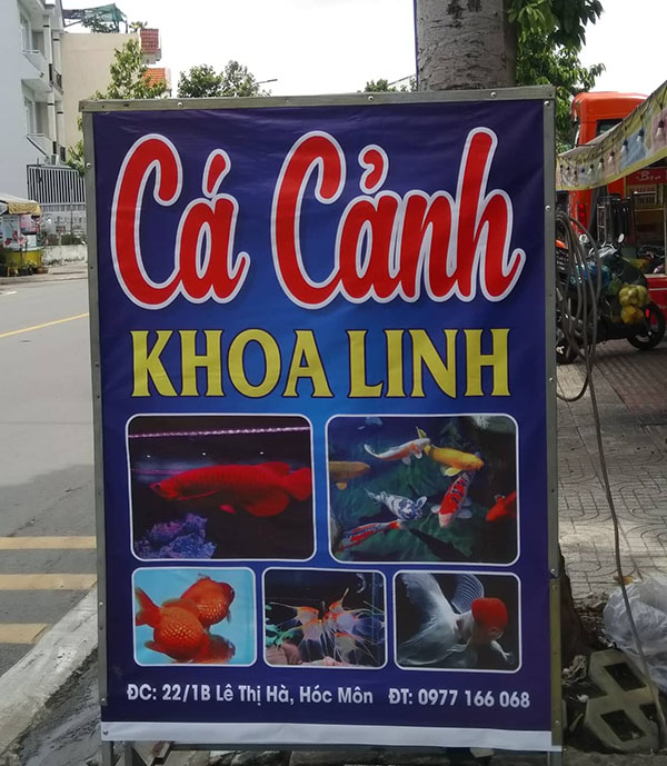 Mẫu bảng hiệu đứng tiệm b&aacute;n c&aacute; cảnh