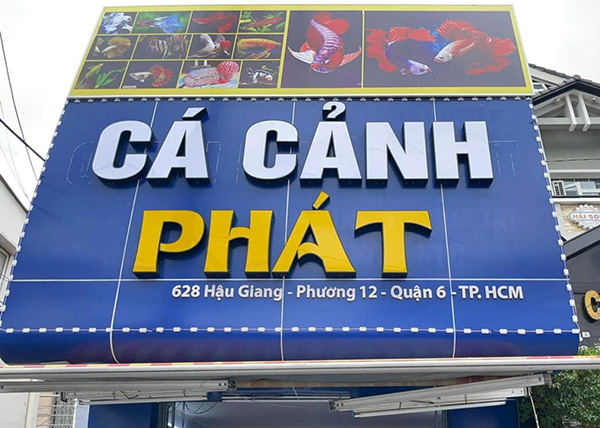 Mẫu biển hiệu cửa h&agrave;ng c&aacute; cảnh Ph&aacute;t
