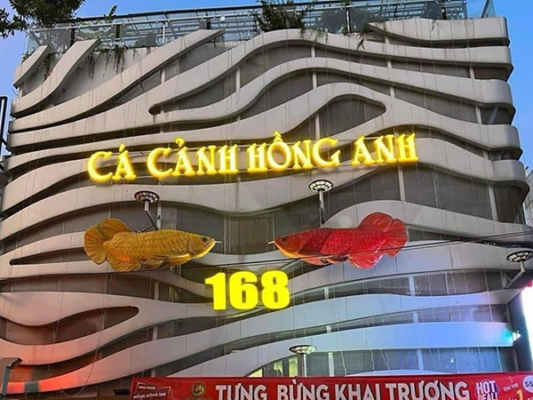 Mẫu bảng hiệu c&aacute; cảnh cao cấp, sang trọng