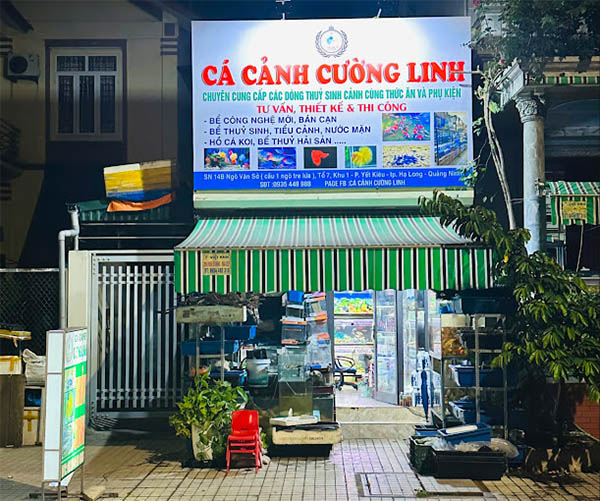 Mẫu bảng hiệu c&aacute; cảnh Cường Linh