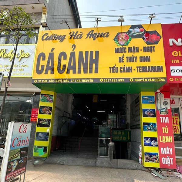 Mẫu bảng hiệu c&aacute; cảnh đẹp