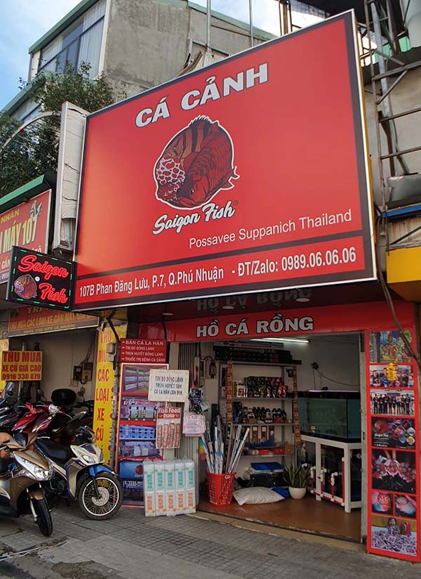 Quy c&aacute;ch thiết kế bảng hiệu b&aacute;n c&aacute; cảnh đẹp, thu h&uacute;t kh&aacute;ch