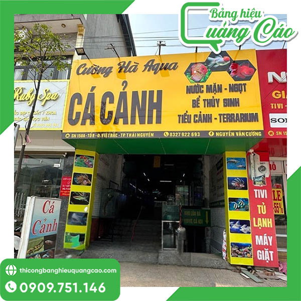 30+ Mẫu Bảng Hiệu C&aacute; Cảnh Thủy Sinh Đẹp, H&uacute;t Kh&aacute;ch