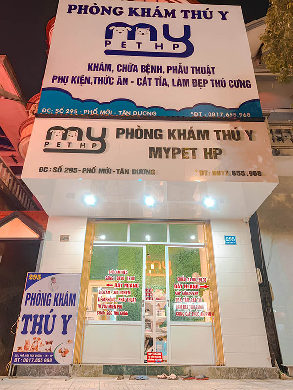 Mẫu bảng hiệu ph&ograve;ng kh&aacute;m th&uacute; y Mypet HP