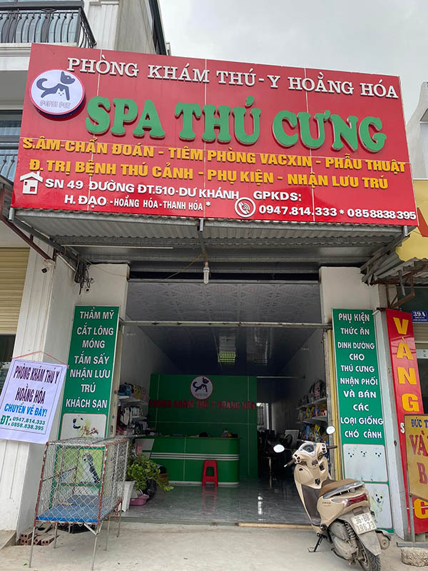 Mẫu bảng hiệu ph&ograve;ng kh&aacute;m th&uacute; y, spa th&uacute; cưng đẹp