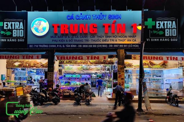 Mẫu bảng hiệu cá cảnh hộp đèn xuyên sáng Trung Tín