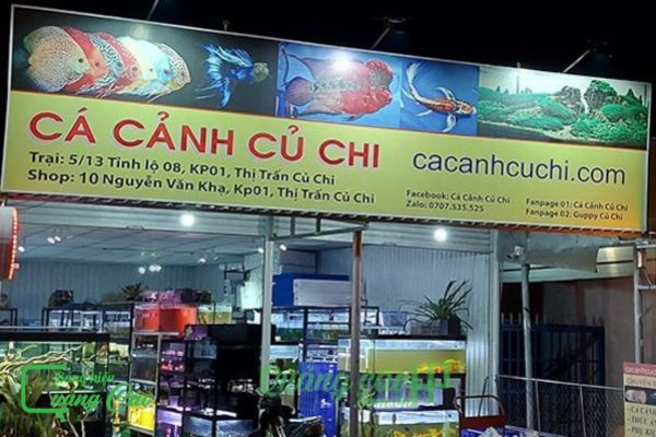 Bảng hiệu cá cảnh Củ Chi