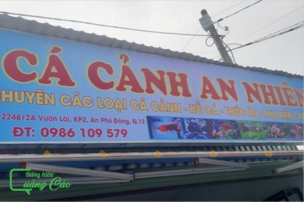 Bảng hiệu cá cảnh An Nhiên