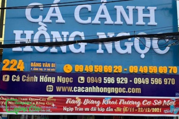 Mẫu bảng hiệu cá cảnh alu chữ nổi mica Hồng Ngọc