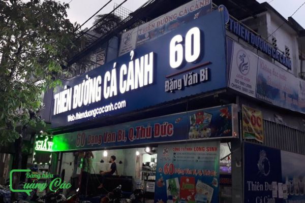 Bảng hiệu cá cảnh hộp đèn xuyên sáng 