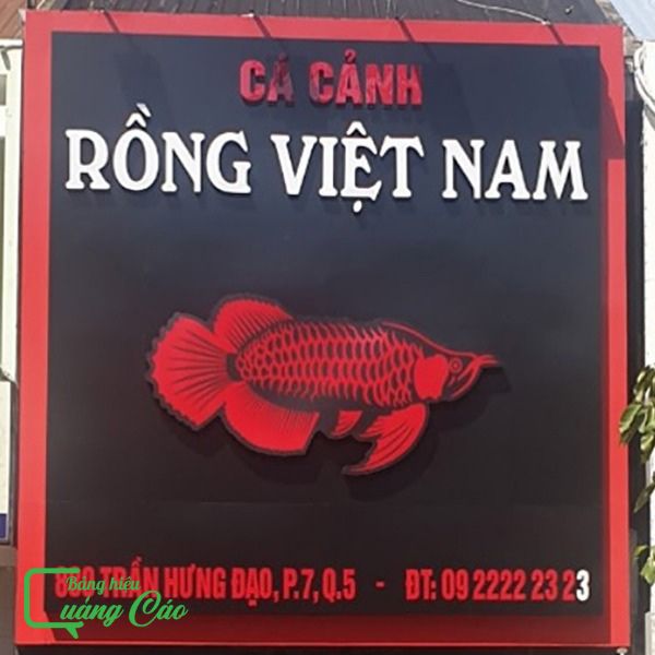 Mẫu bảng hiệu cá cảnh alu chữ nổi mica Rông Việt Nam