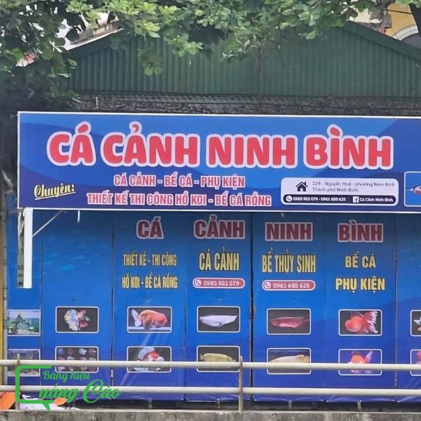 Bảng hiệu cá cảnh Ninh Bình