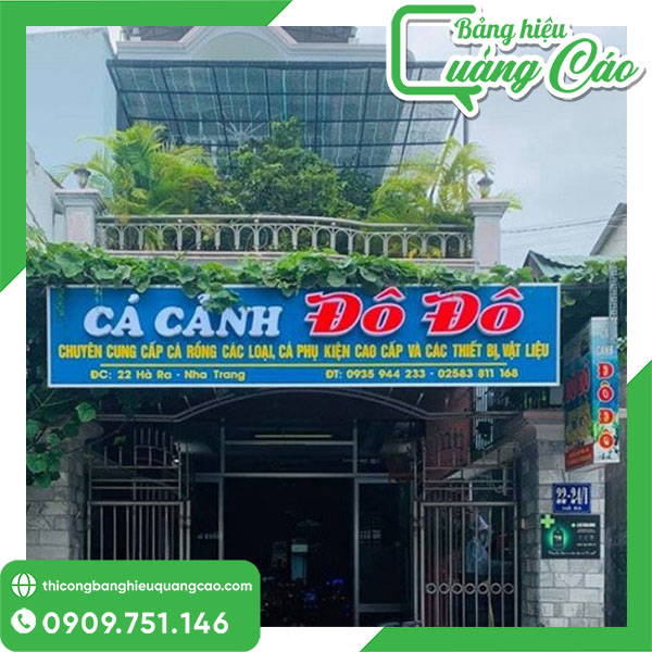 65+ Mẫu Bảng Hiệu Cá Cảnh Đẹp, Thu Hút Khách Hàng