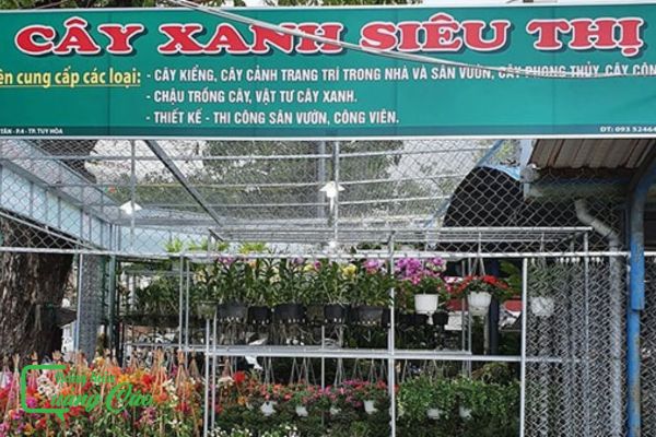 Bảng hiệu cây cảnh cây xanh Siêu Thị