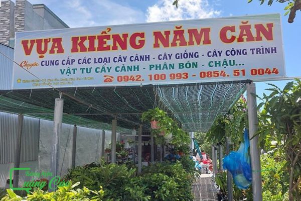Bảng hiệu cây cảnh vựa kiểng Năm Căn