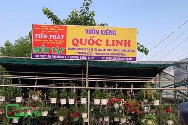 Bảng hiệu cây cảnh Quốc Linh