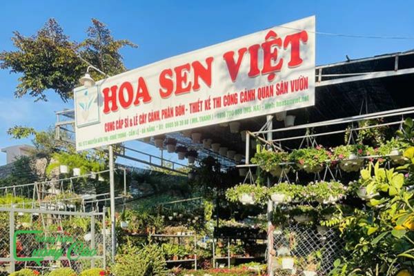 Bảng hiệu cây cảnh Hoa Sen Việt