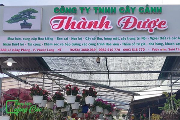 Bảng hiệu cây cảnh hộp đèn Thành Được