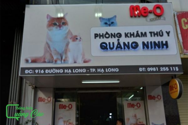 Bảng hiệu phòng khám thú y chữ nổi mica Quảng Ninh