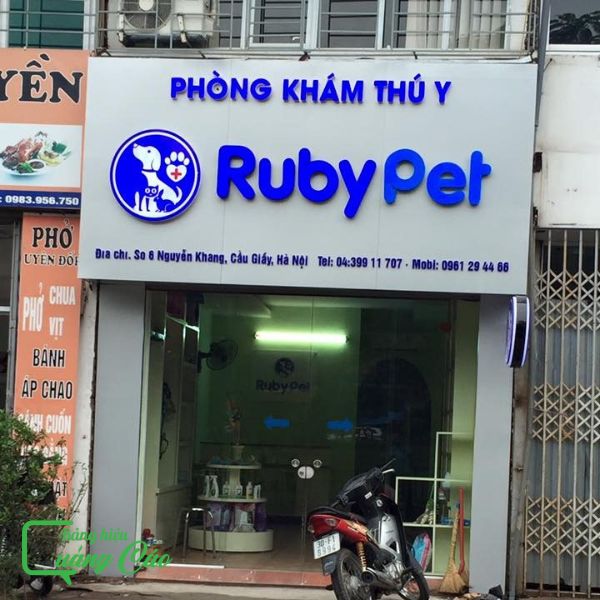 Bảng hiệu phòng khám thú y hộp đèn hắt sáng Ruby Pet
