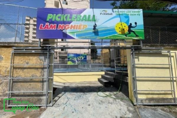 Làm bảng hiệu pickleball bạt hiflex