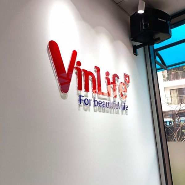 Chữ nổi mica dán tường Vinlife