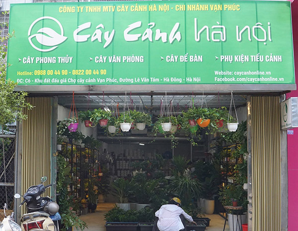 Mẫu bảng hiệu cây cảnh Hà Nội