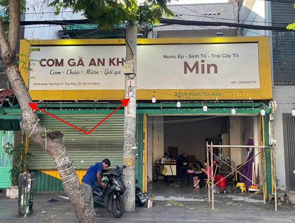 Lỗi làm bảng hiệu bị che khuất tầm nhìn bổi cột điện, tán cây